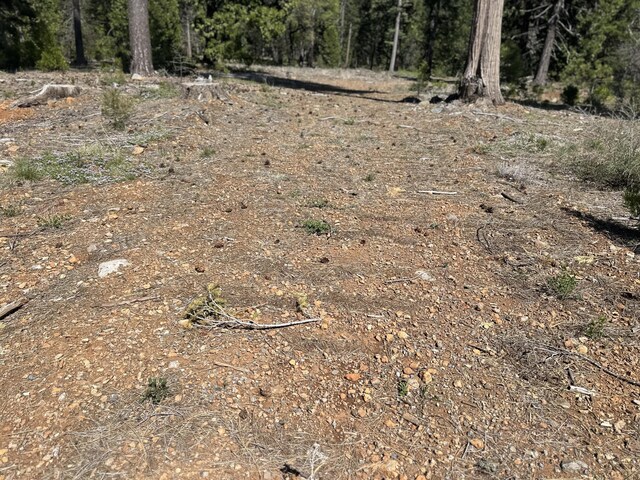LOT9 Princess Pine Pl, Shingletown, CA 96088