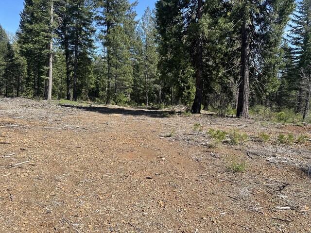 LOT9 Princess Pine Pl, Shingletown, CA 96088