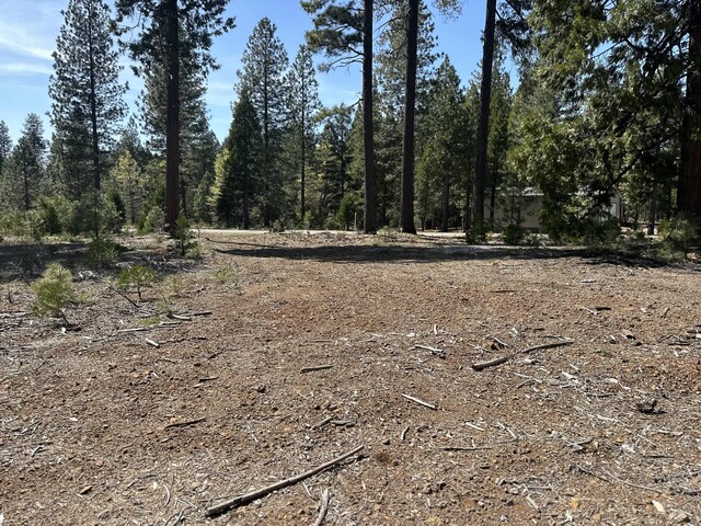 LOT9 Princess Pine Pl, Shingletown, CA 96088