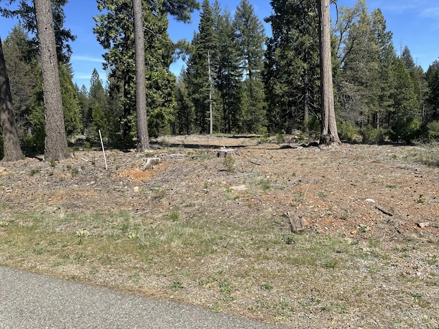 LOT9 Princess Pine Pl, Shingletown, CA 96088