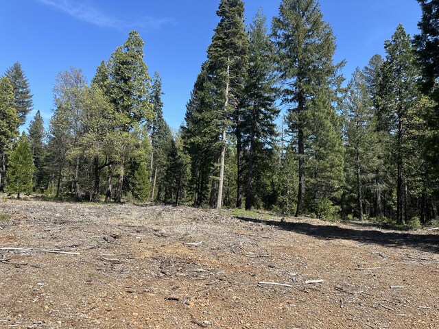 LOT9 Princess Pine Pl, Shingletown, CA 96088