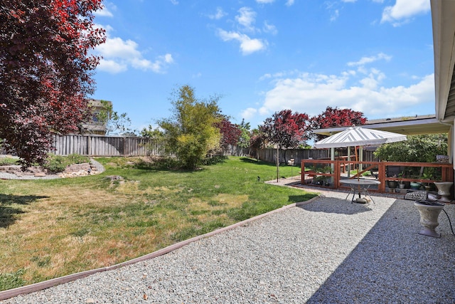 view of yard with a patio area and a fenced backyard