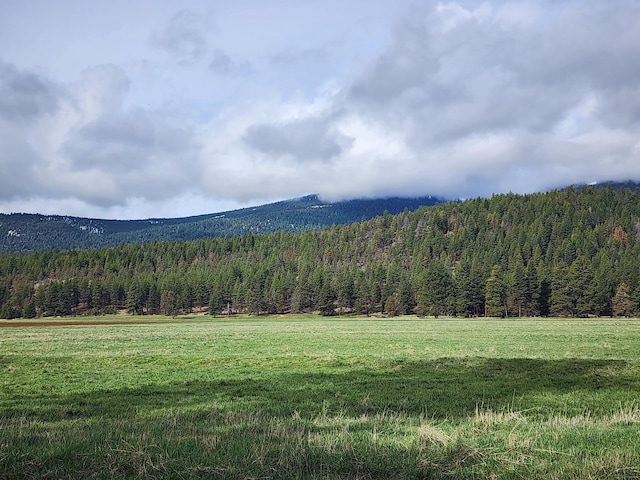 1827 W Ball Mountain Little Shasta Rd, Macdoel, CA 96058 - view of mountain backdrop featuring a forest
