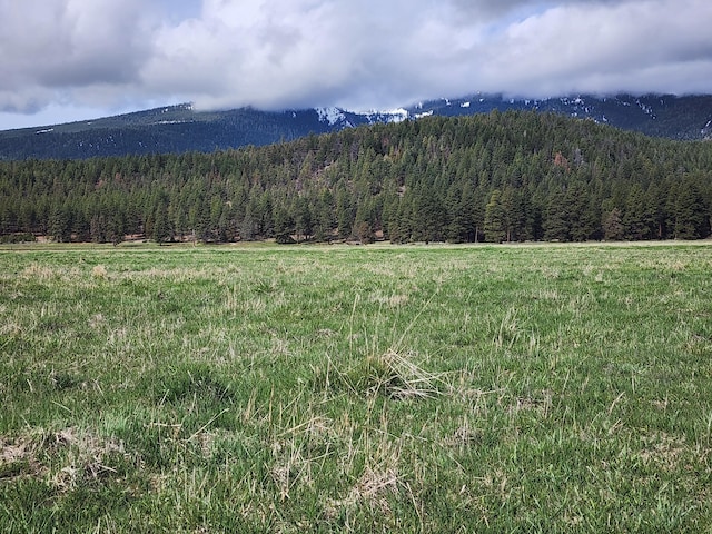 1827 W Ball Mountain Little Shasta Rd, Macdoel, CA 96058 - view of mountain backdrop with a heavily wooded area