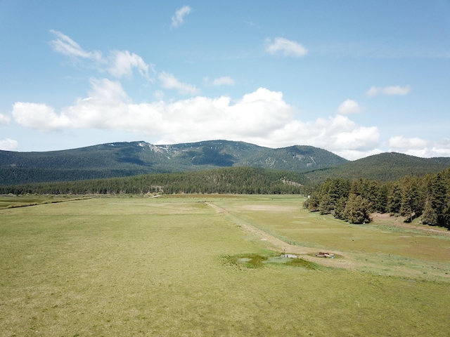 1827 W Ball Mountain Little Shasta Rd, Macdoel, CA 96058 - view of mountain backdrop