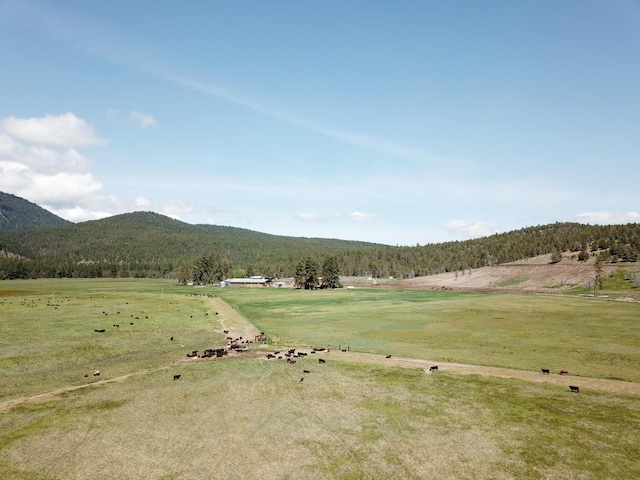 1827 W Ball Mountain Little Shasta Rd, Macdoel, CA 96058 - view of mountain backdrop with rural landscape and a forest