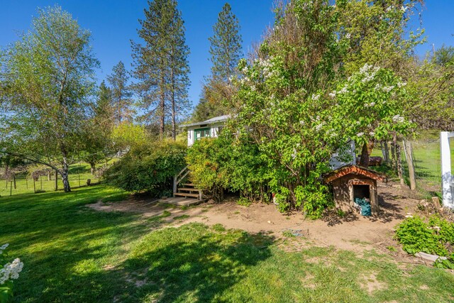 6790 Rush Creek Rd, Lewiston, CA 96052 - photo 33