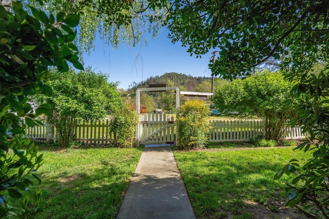 6790 Rush Creek Rd, Lewiston, CA 96052 - photo 42