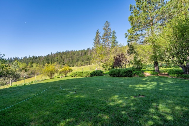 6790 Rush Creek Rd, Lewiston, CA 96052 - photo 45