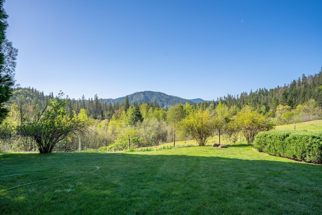 6790 Rush Creek Rd, Lewiston, CA 96052 - photo 46