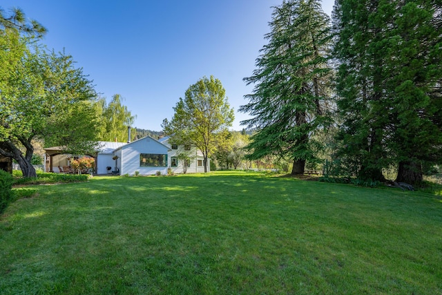 6790 Rush Creek Rd, Lewiston, CA 96052 - photo 47