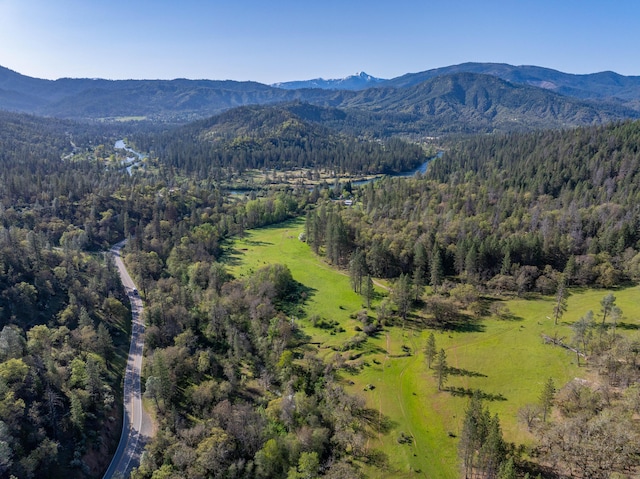 6790 Rush Creek Rd, Lewiston, CA 96052 - photo 57