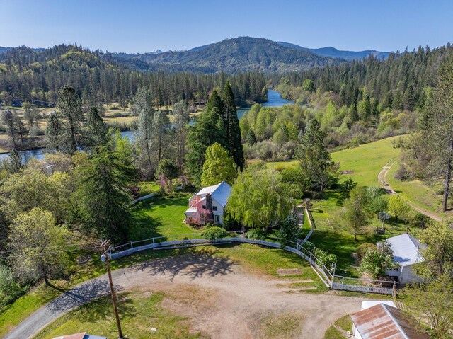 6790 Rush Creek Rd, Lewiston, CA 96052 - photo 59