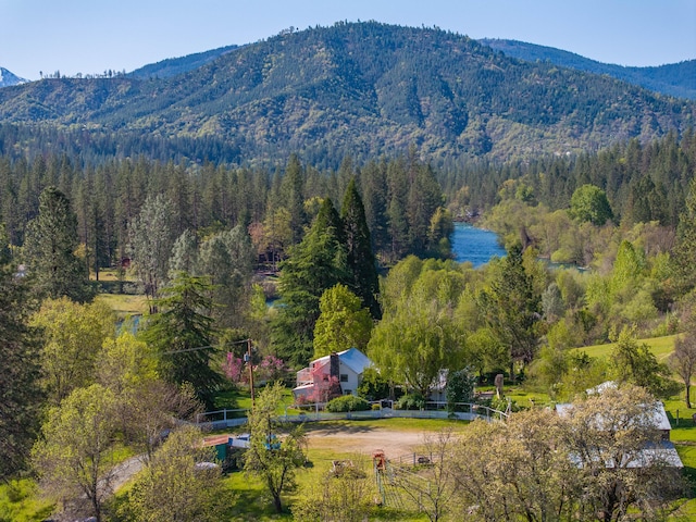 6790 Rush Creek Rd, Lewiston, CA 96052 - photo 60