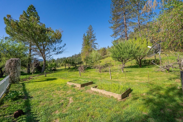 6790 Rush Creek Rd, Lewiston, CA 96052 - photo 62