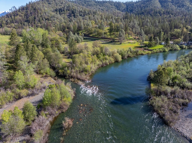 6790 Rush Creek Rd, Lewiston, CA 96052 - photo 67