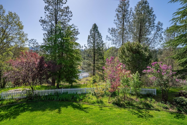 6790 Rush Creek Rd, Lewiston, CA 96052 - photo 70