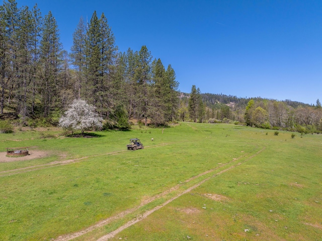 6790 Rush Creek Rd, Lewiston, CA 96052 - photo 71