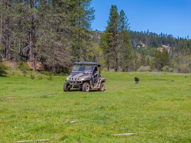 6790 Rush Creek Rd, Lewiston, CA 96052 - photo 72