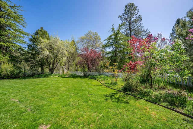 6790 Rush Creek Rd, Lewiston, CA 96052 - photo 77