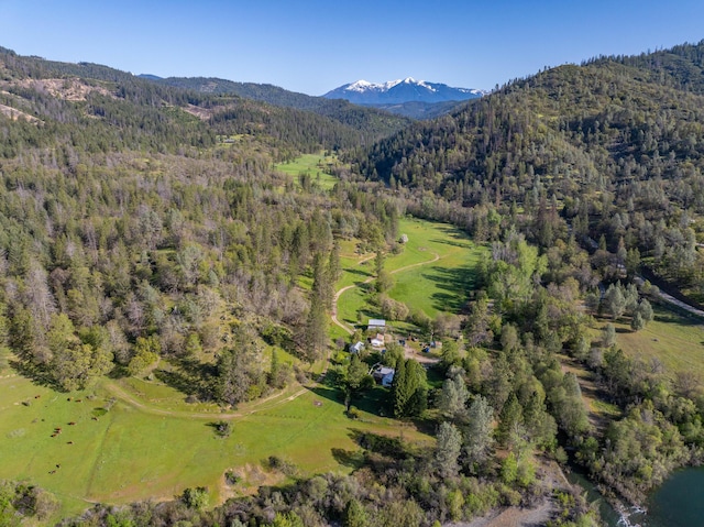 6790 Rush Creek Rd, Lewiston, CA 96052 - photo 81
