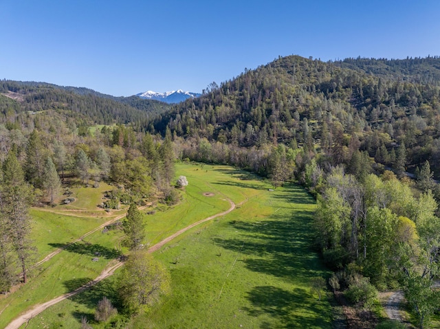 6790 Rush Creek Rd, Lewiston, CA 96052 - photo 83