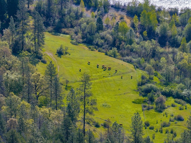 6790 Rush Creek Rd, Lewiston, CA 96052 - photo 86