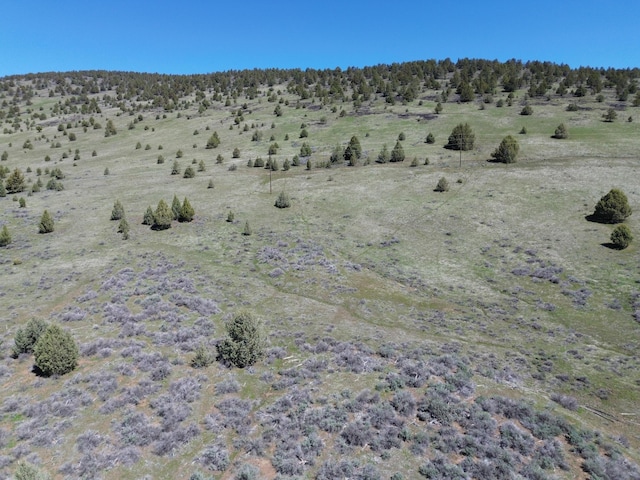848 Co Rd 87, Adin, CA 96006 - photo 2