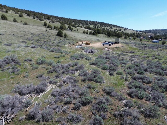 848 Co Rd 87, Adin, CA 96006 - photo 13