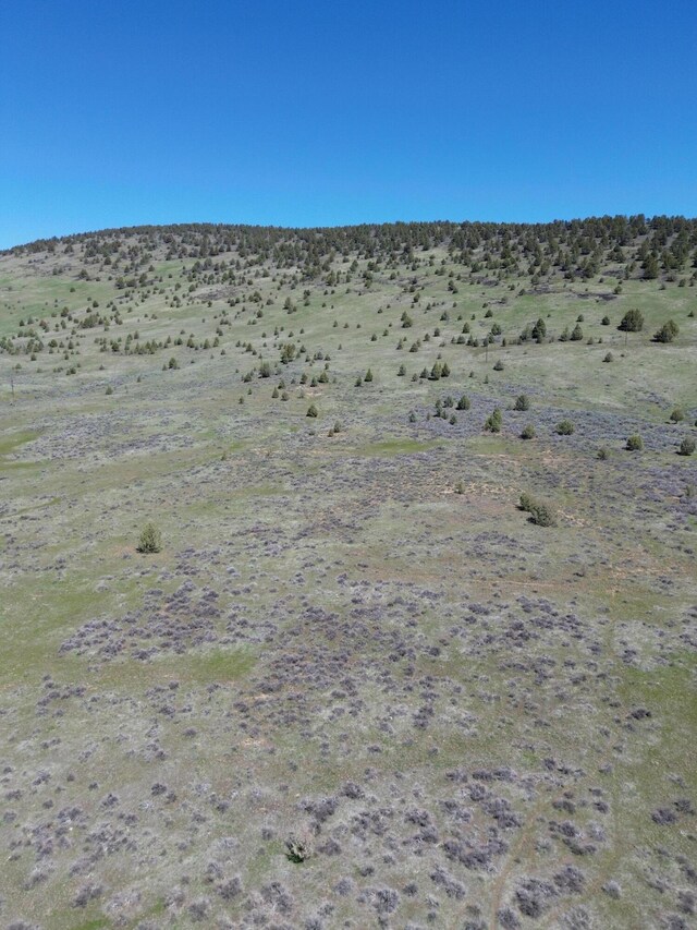 848 Co Rd 87, Adin, CA 96006 - photo 3
