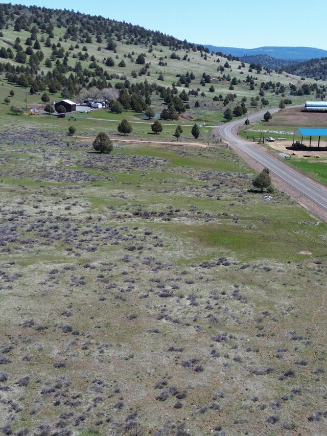 848 Co Rd 87, Adin, CA 96006 - photo 5
