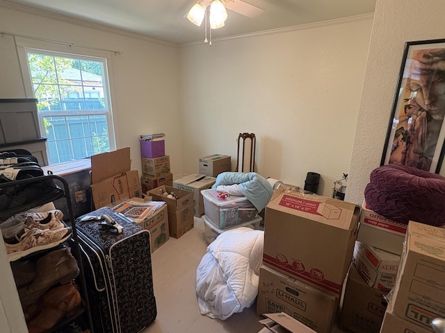 storage featuring ceiling fan