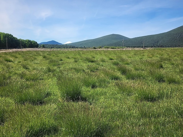 25653 Glenburn Rd, Fall River Mills, CA 96028 - view of mountain backdrop