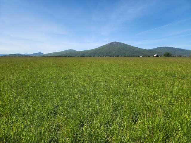 25653 Glenburn Rd, Fall River Mills, CA 96028 - mountain view with rural landscape