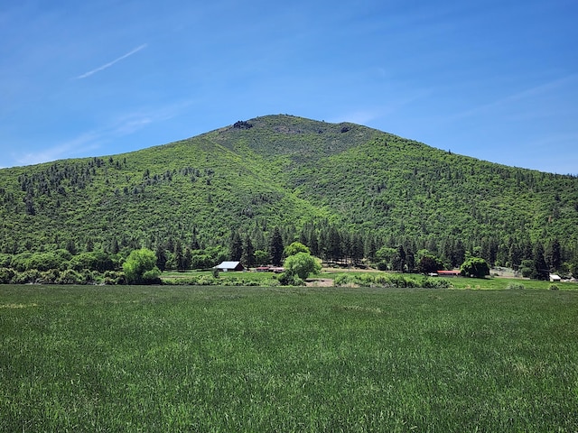 25653 Glenburn Rd, Fall River Mills, CA 96028 - view of mountain background with a heavily wooded area