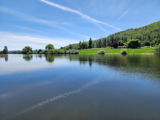 25653 Glenburn Rd, Fall River Mills, CA 96028 - water view with a forest