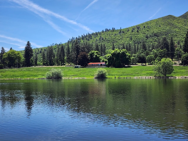 25653 Glenburn Rd, Fall River Mills, CA 96028 - water view with a forest and mountains