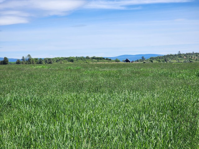 25653 Glenburn Rd, Fall River Mills, CA 96028 - view of mountain background with rural landscape