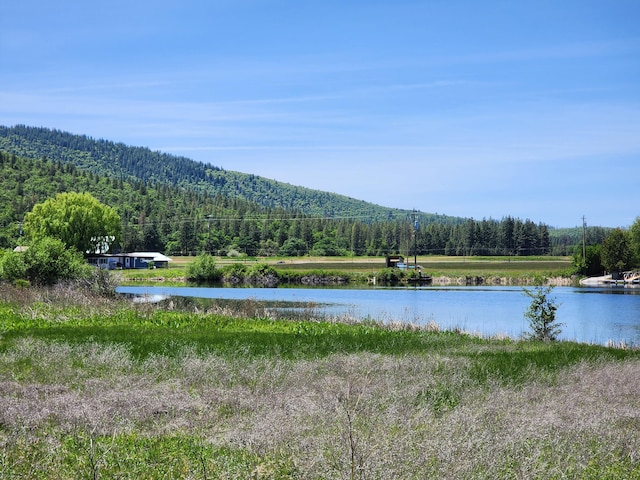 25653 Glenburn Rd, Fall River Mills, CA 96028 - water view with a heavily wooded area and a mountain backdrop