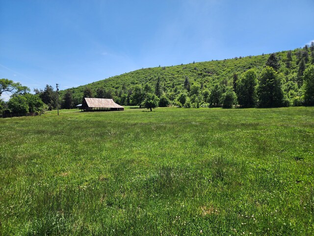 25653 Glenburn Rd, Fall River Mills, CA 96028 - view of yard with a view of rural / pastoral area