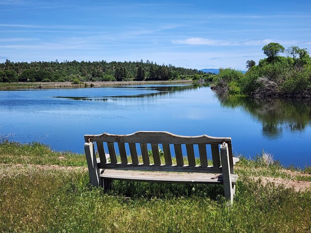 25653 Glenburn Rd, Fall River Mills, CA 96028 - dock featuring a wooded view and a water view