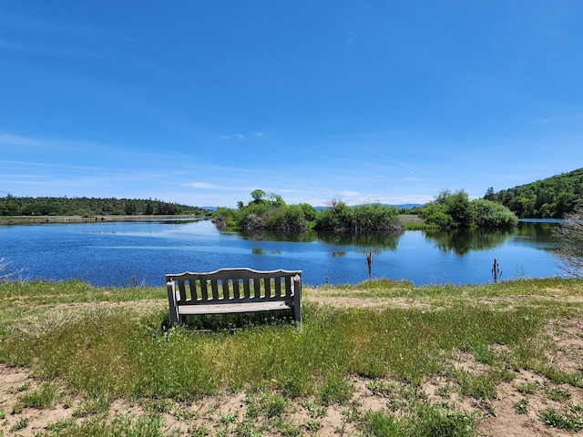 25653 Glenburn Rd, Fall River Mills, CA 96028 - water view