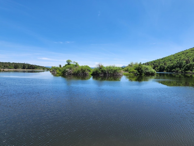 25653 Glenburn Rd, Fall River Mills, CA 96028 - water view