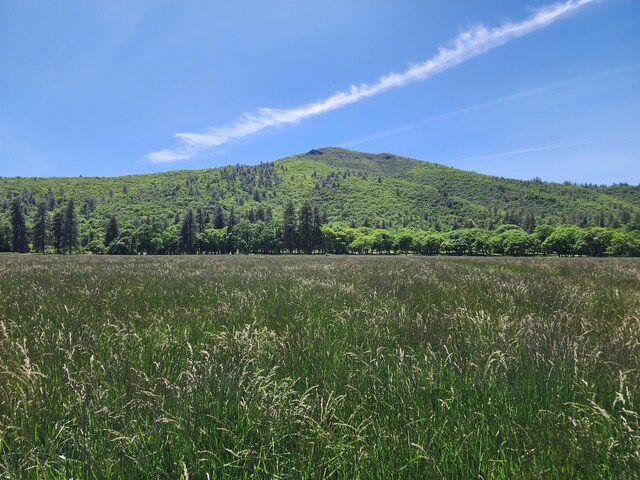 25653 Glenburn Rd, Fall River Mills, CA 96028 - view of mountain background with a heavily wooded area