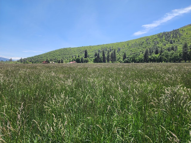 25653 Glenburn Rd, Fall River Mills, CA 96028 - view of mountain background featuring a forest and rural landscape