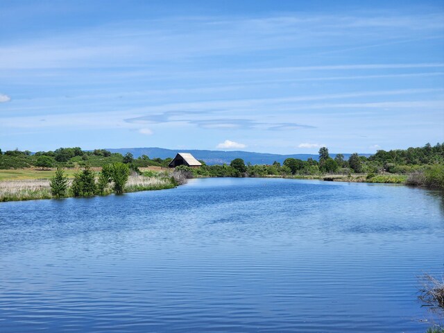 25653 Glenburn Rd, Fall River Mills, CA 96028 - water view