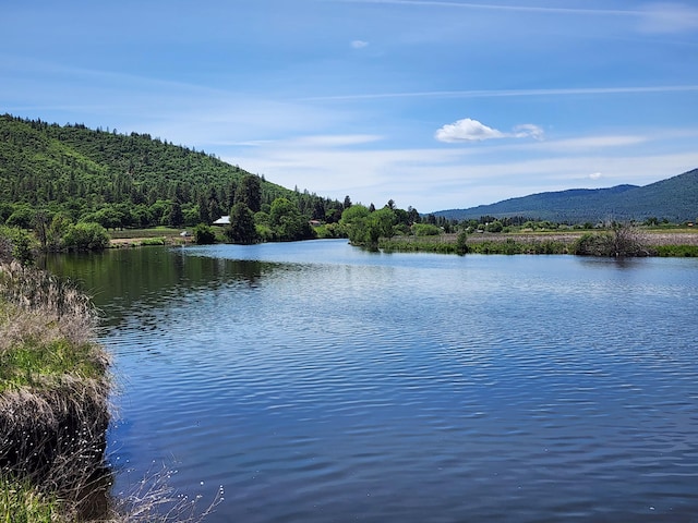25653 Glenburn Rd, Fall River Mills, CA 96028 - water view featuring a forest and a mountainous background