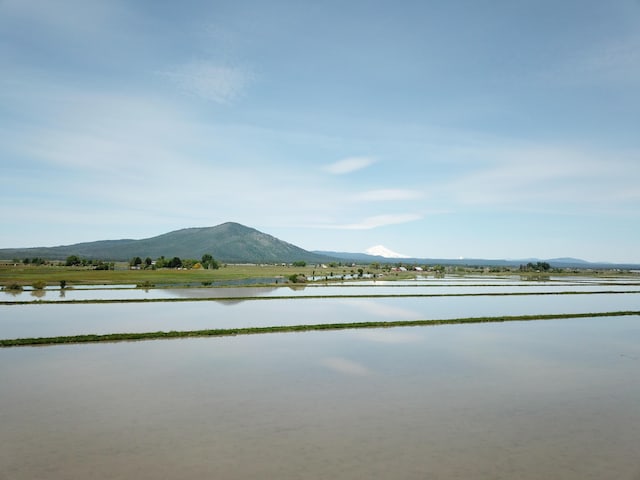 25653 Glenburn Rd, Fall River Mills, CA 96028 - water view with a mountainous background
