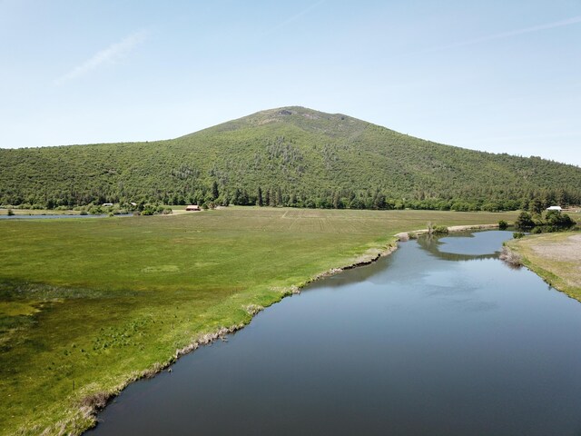 25653 Glenburn Rd, Fall River Mills, CA 96028 - surrounding community with a forest view and a water and mountain view
