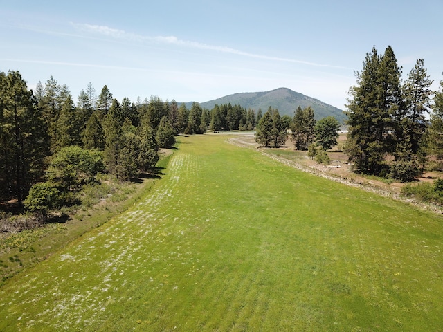 25653 Glenburn Rd, Fall River Mills, CA 96028 - view of mountain backdrop